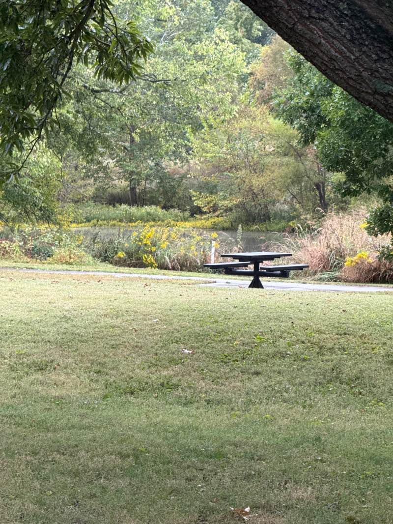 walking near me in Cross Keys Park in autumn