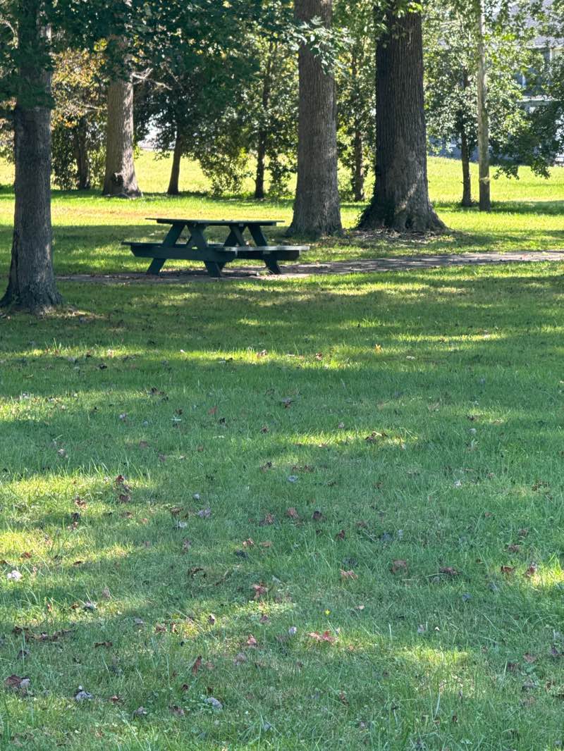 walking near me in St. John's Park in autumn