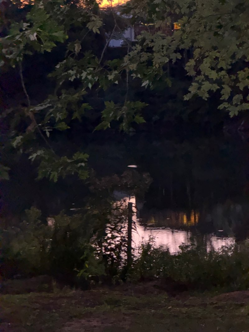 walking near me in Riverview Park in autumn