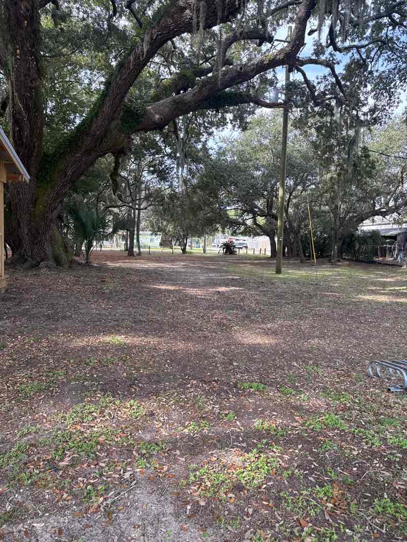 walking near me in Green Park in winter