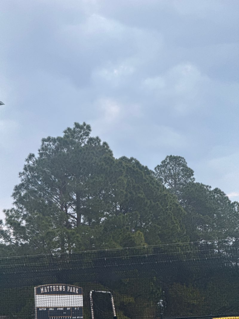 walking near me in Matthews Park in winter