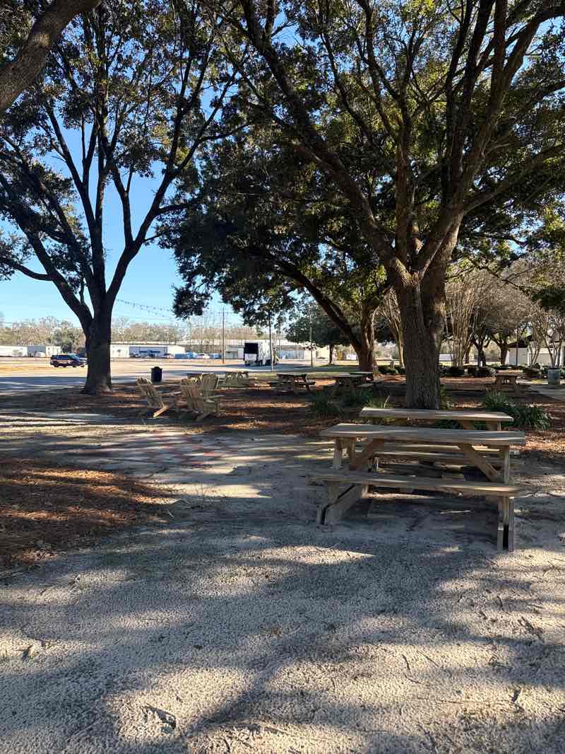 walking near me in Blackburn park in winter