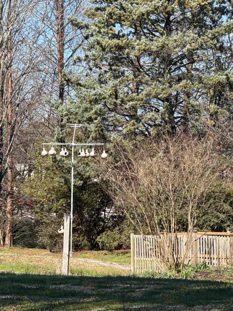 walking near me in E.A.R.T.H. Park in spring