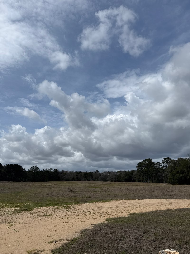 walking near me in Boykin Park in winter