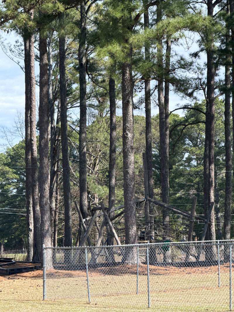 walking near me in Culpepper Park in spring