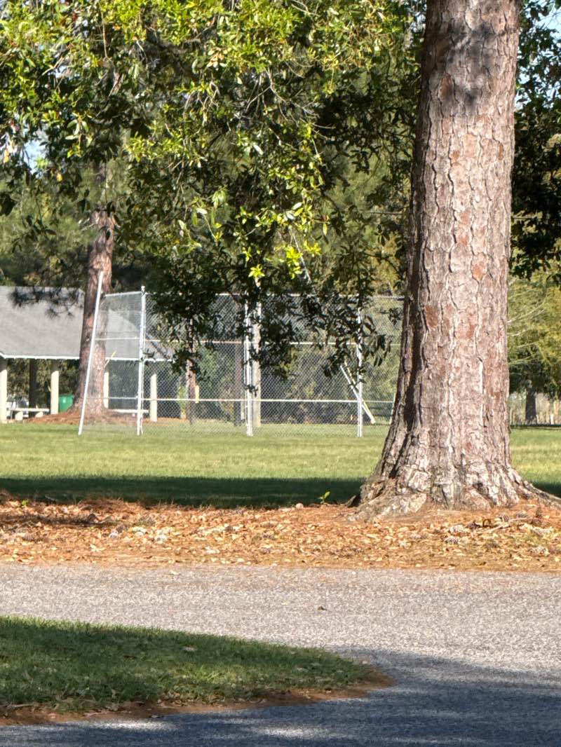 walking near me in McNally Park in spring