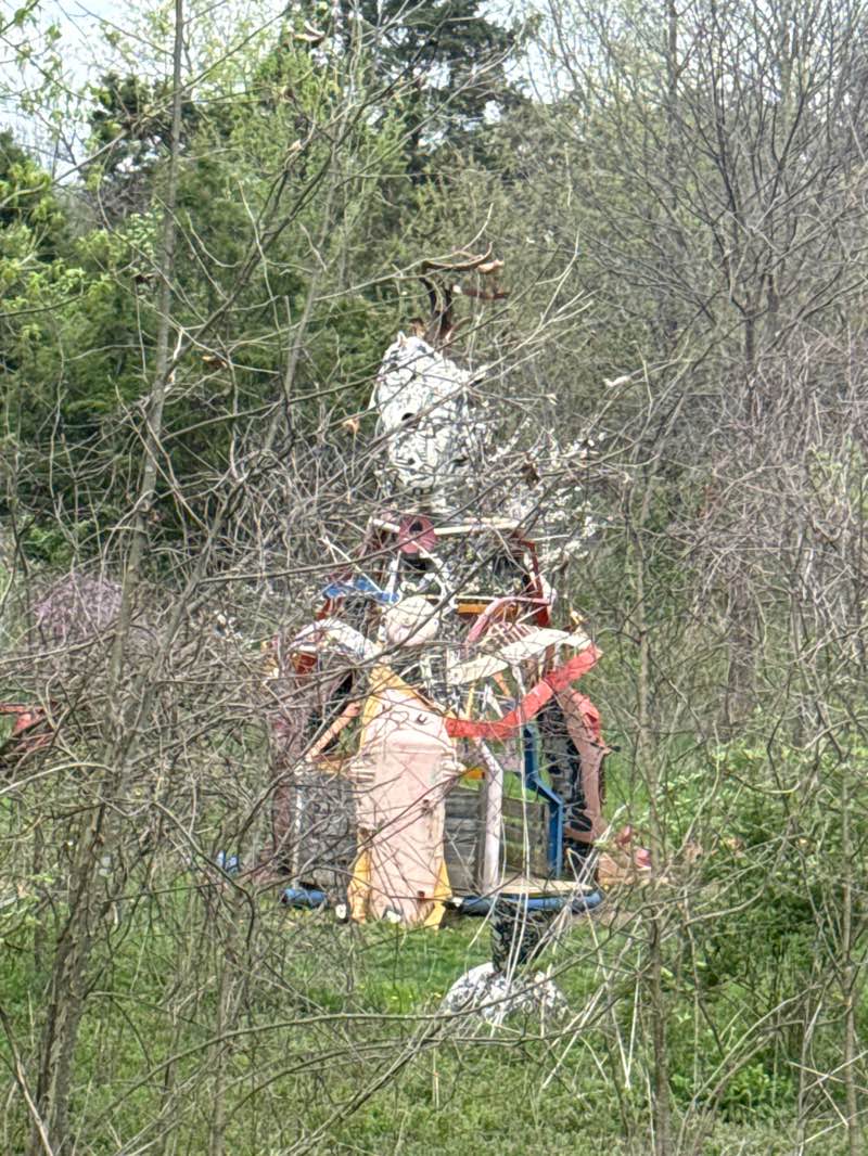 walking near me in Josephine Sculpture Park in spring