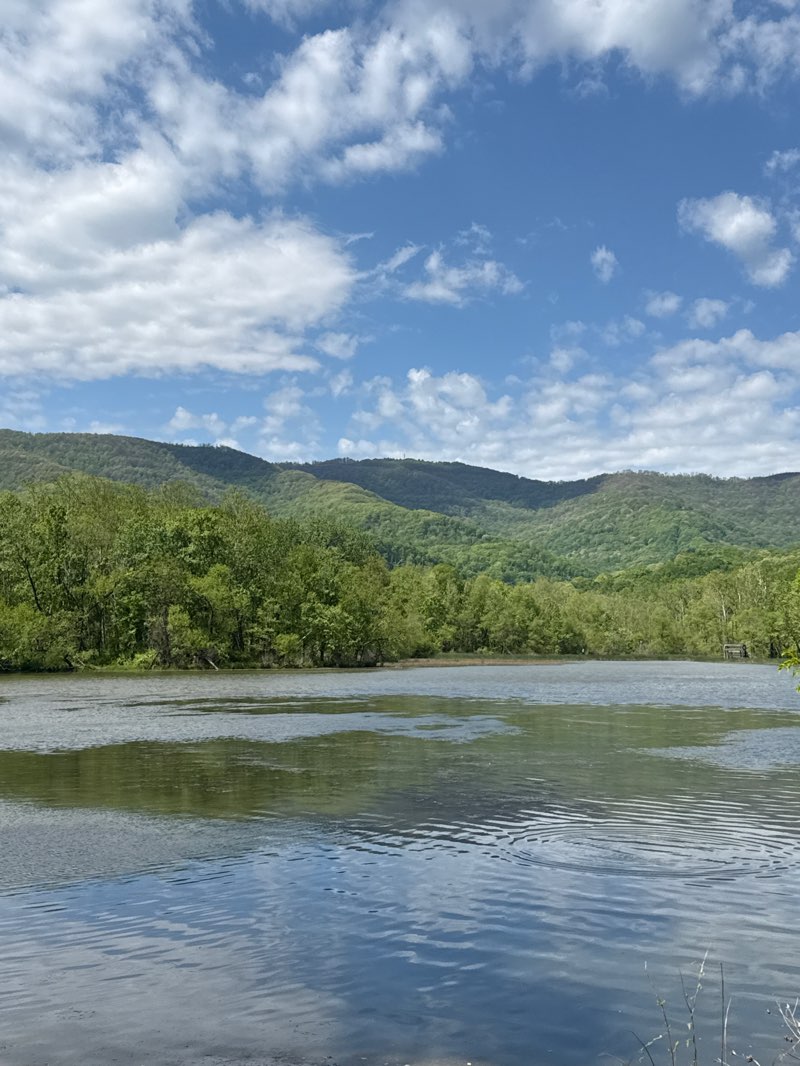 walking near me in Cove Lake State Park in spring