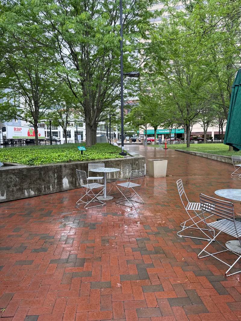 walking near me in Triangle Park in spring