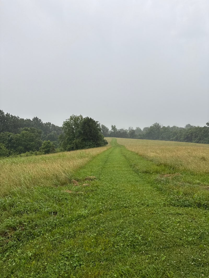 walking near me in Perryville Battlefield State Park in summer