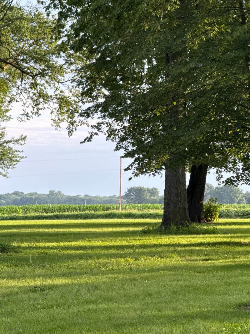 walking near me in Ford-Harris Park in summer