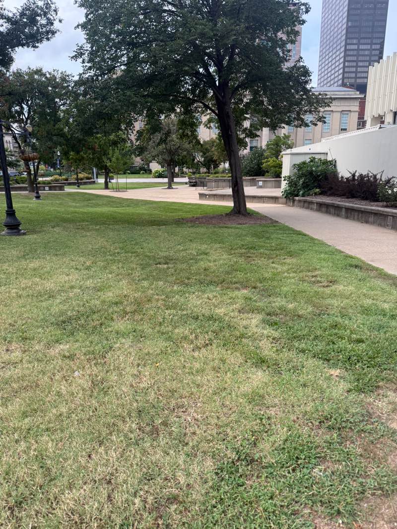walking near me in Jefferson Square in summer