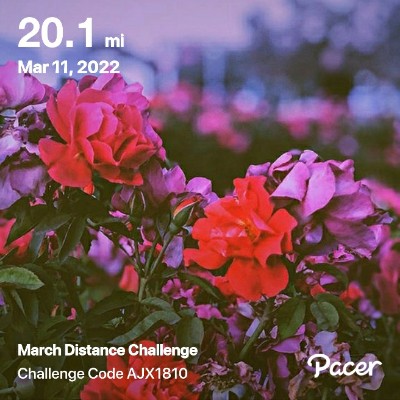 leannmurphy328 post 1