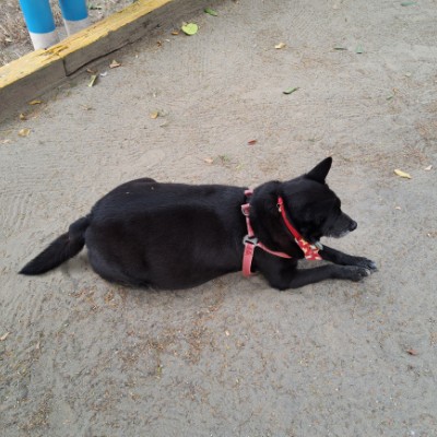 August Steps Challenge 終點站 post image