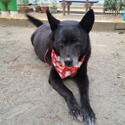 August Steps Challenge 終點站 post image