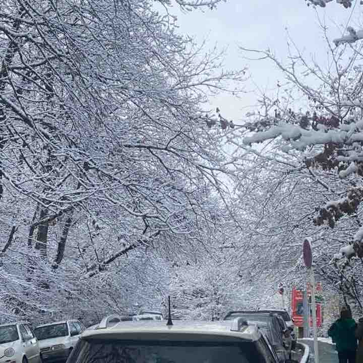 mohammad🇮🇷 post 1