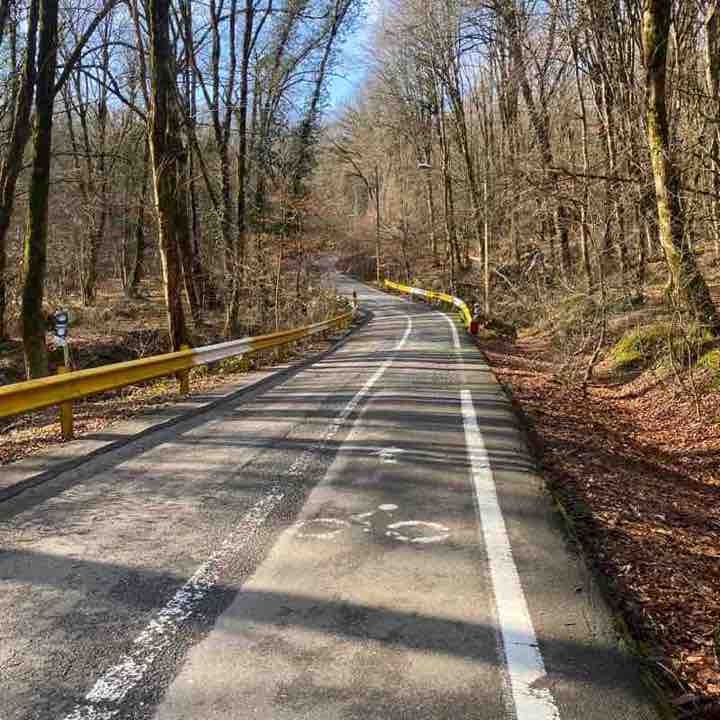 mohammad🇮🇷 post 1