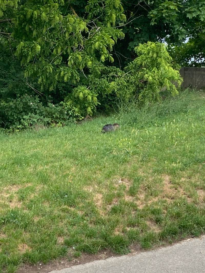 walking near me in Rheingarten in winter