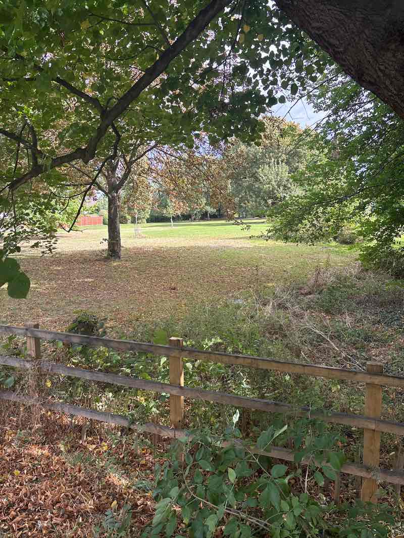 walking near me in Miss Machin's Field in winter