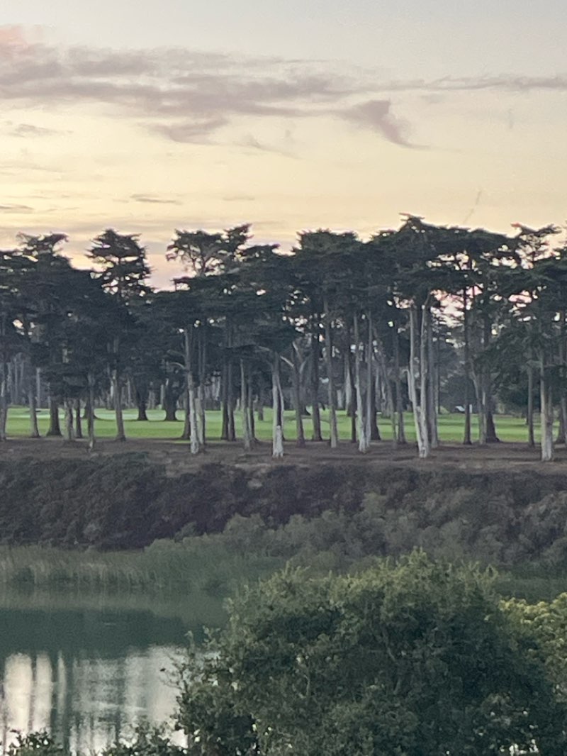 walking near me in Lake Merced Park in winter