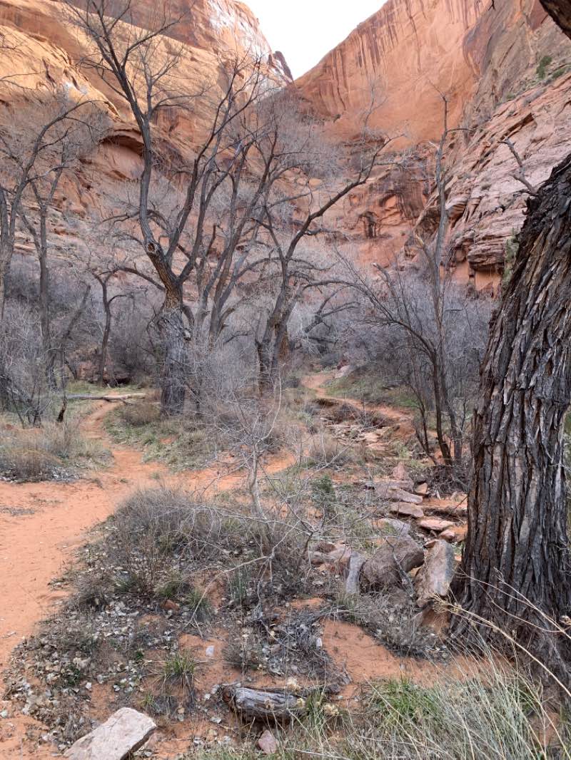 walking near me in Behind The Rocks Wilderness Study Area in winter