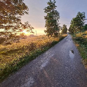 czarnazmija 🇵🇱🇪🇺 profile