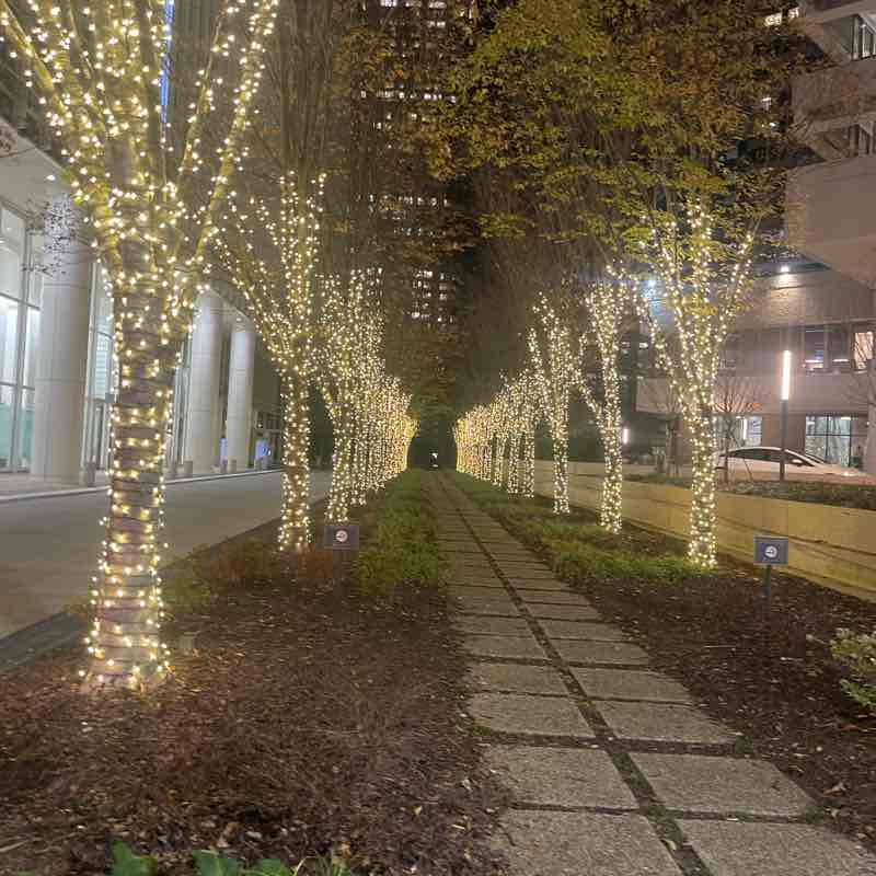 🏃🏻‍♀️🏃🏽‍♂️Keeping up with the steps🏃🏽‍♂️🏃🏻‍♀️ lindas 🇺🇸💃🏽 post image