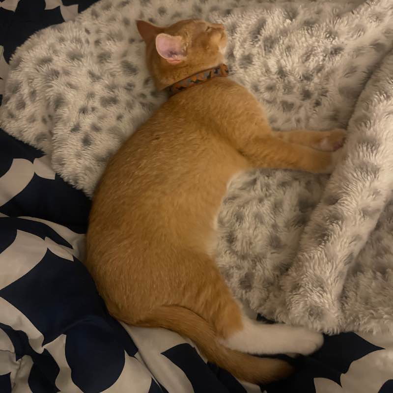 🏃🏻‍♀️🏃🏽‍♂️Keeping up with the steps🏃🏽‍♂️🏃🏻‍♀️ lindas 🇺🇸💃🏽 post image