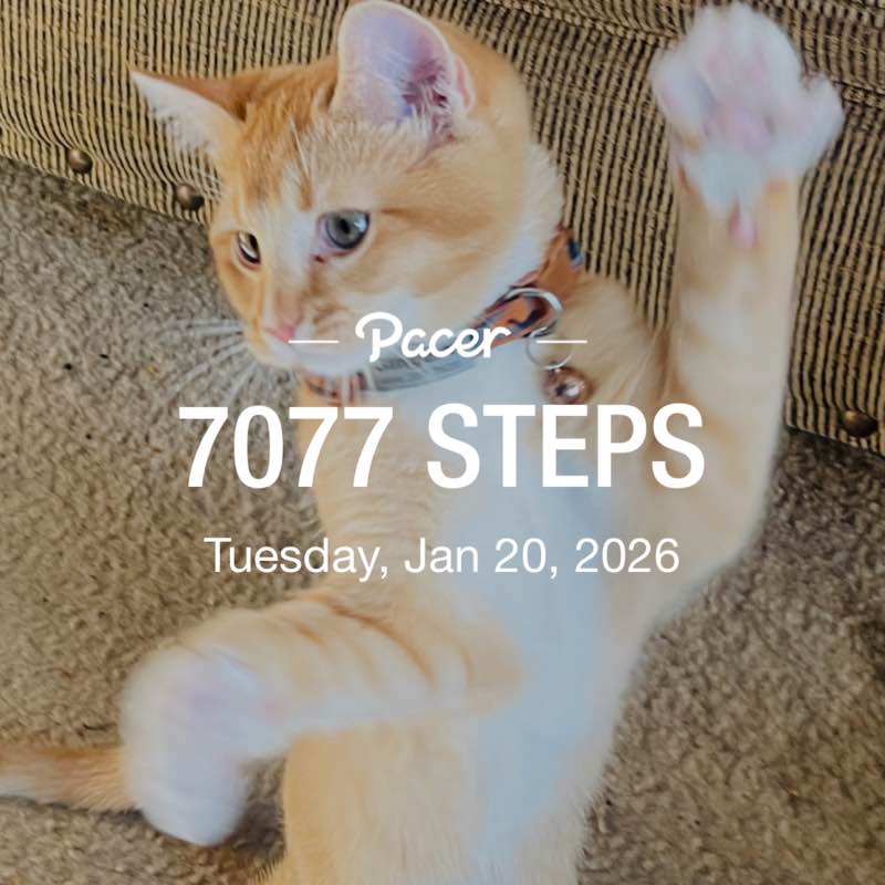 🏃🏻‍♀️🏃🏽‍♂️Keeping up with the steps🏃🏽‍♂️🏃🏻‍♀️ lindas 🇺🇸💃🏽 post image