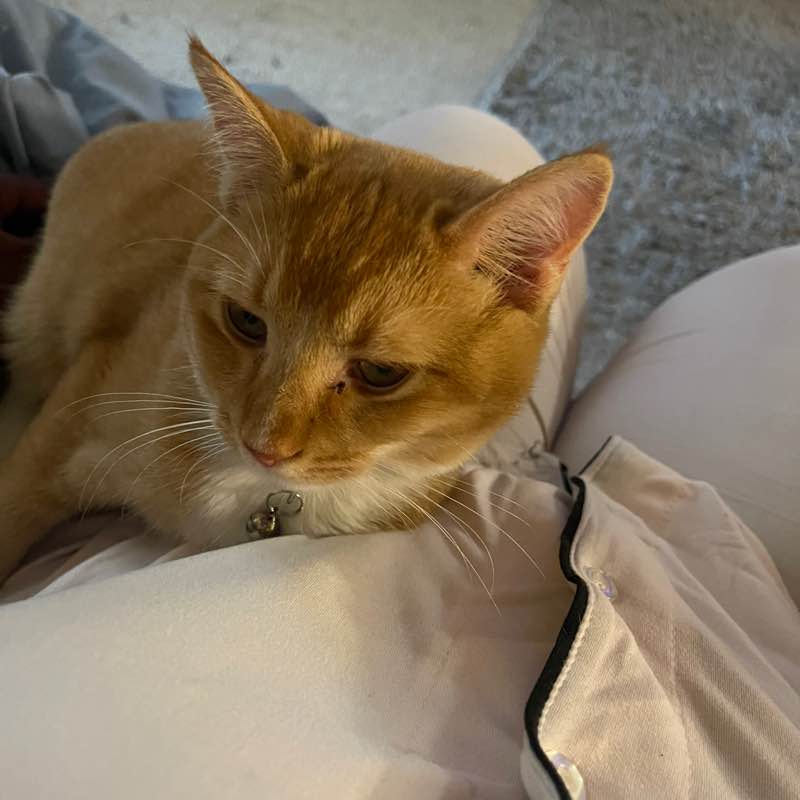 lindas 🇺🇸💃🏽 post 1