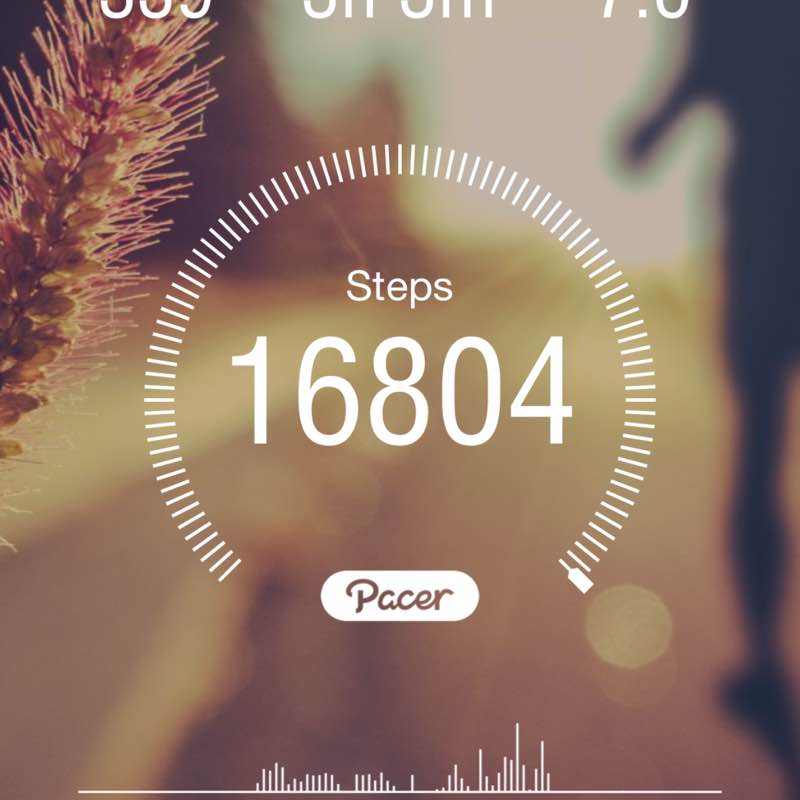 🏃🏻‍♀️🏃🏽‍♂️Keeping up with the steps🏃🏽‍♂️🏃🏻‍♀️ lindas 🇺🇸💃🏽 post image