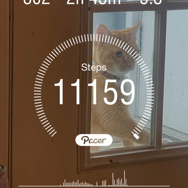 🏃🏻‍♀️🏃🏽‍♂️Keeping up with the steps🏃🏽‍♂️🏃🏻‍♀️ lindas 🇺🇸💃🏽 post image