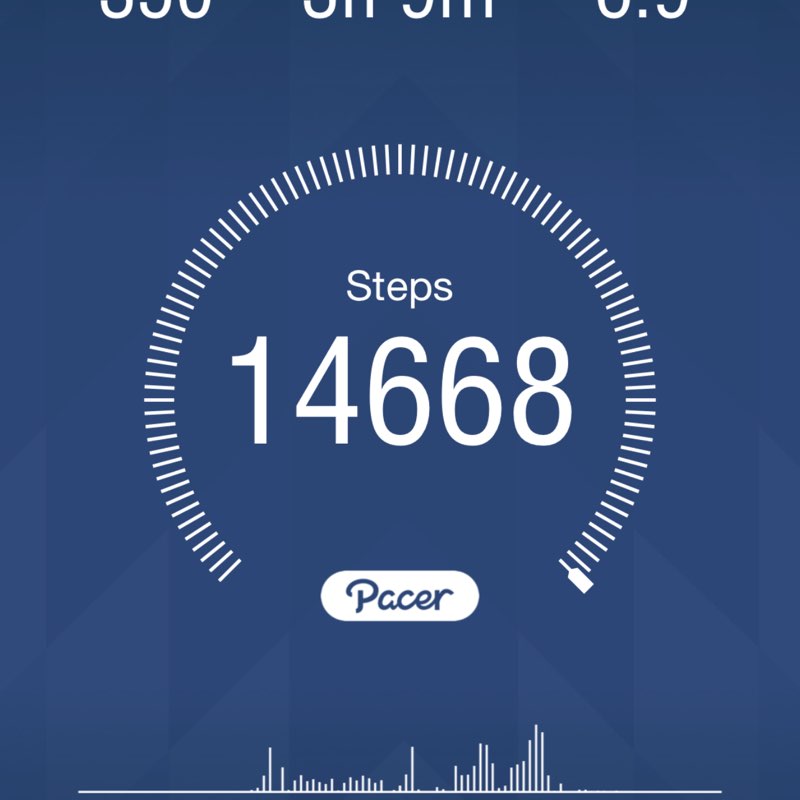 🏃🏻‍♀️🏃🏽‍♂️Keeping up with the steps🏃🏽‍♂️🏃🏻‍♀️ lindas 🇺🇸💃🏽 post image