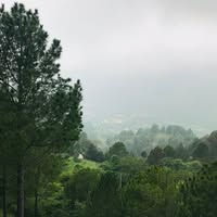 Saqib profile