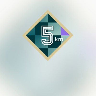 November 5k Race #2 S V Gondalia🇮🇳 post image