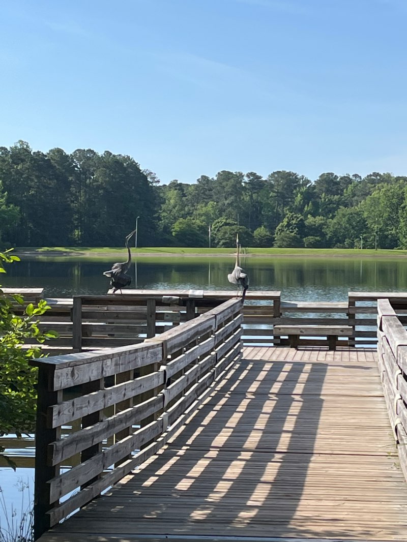 walking near me in Vintage Grove Park in winter