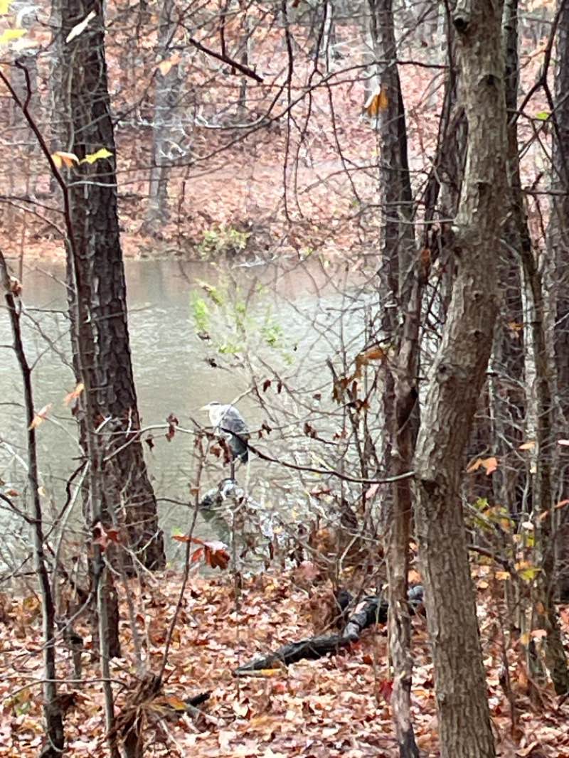 walking near me in Apex Community Park in winter