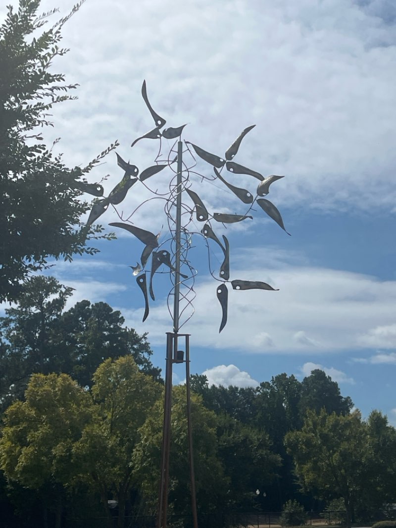 walking near me in Hunter Street Park in autumn