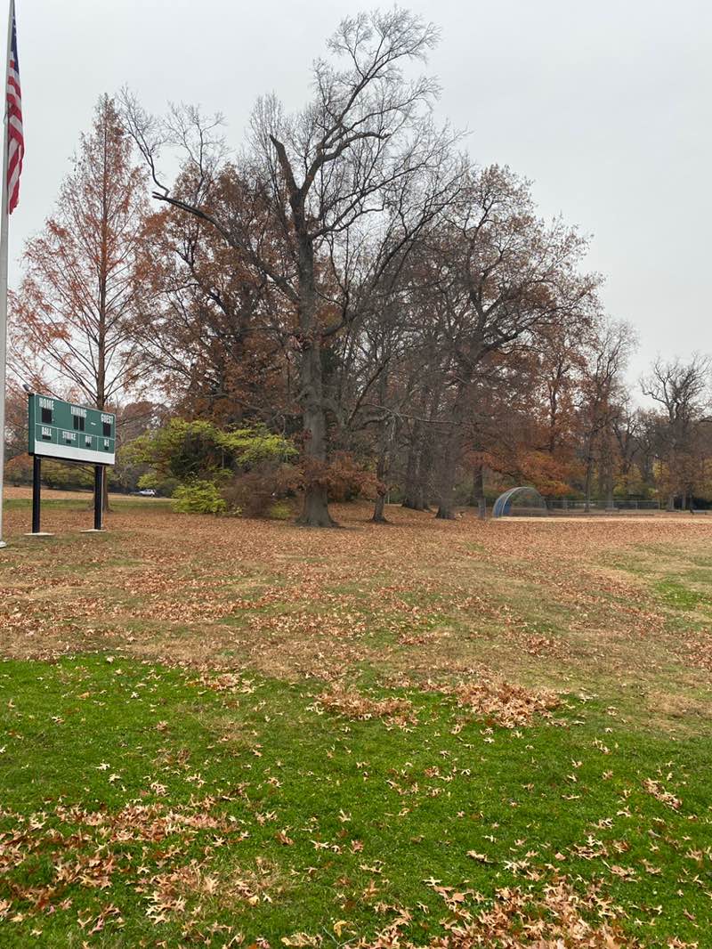 walking near me in Nishuane Park in autumn