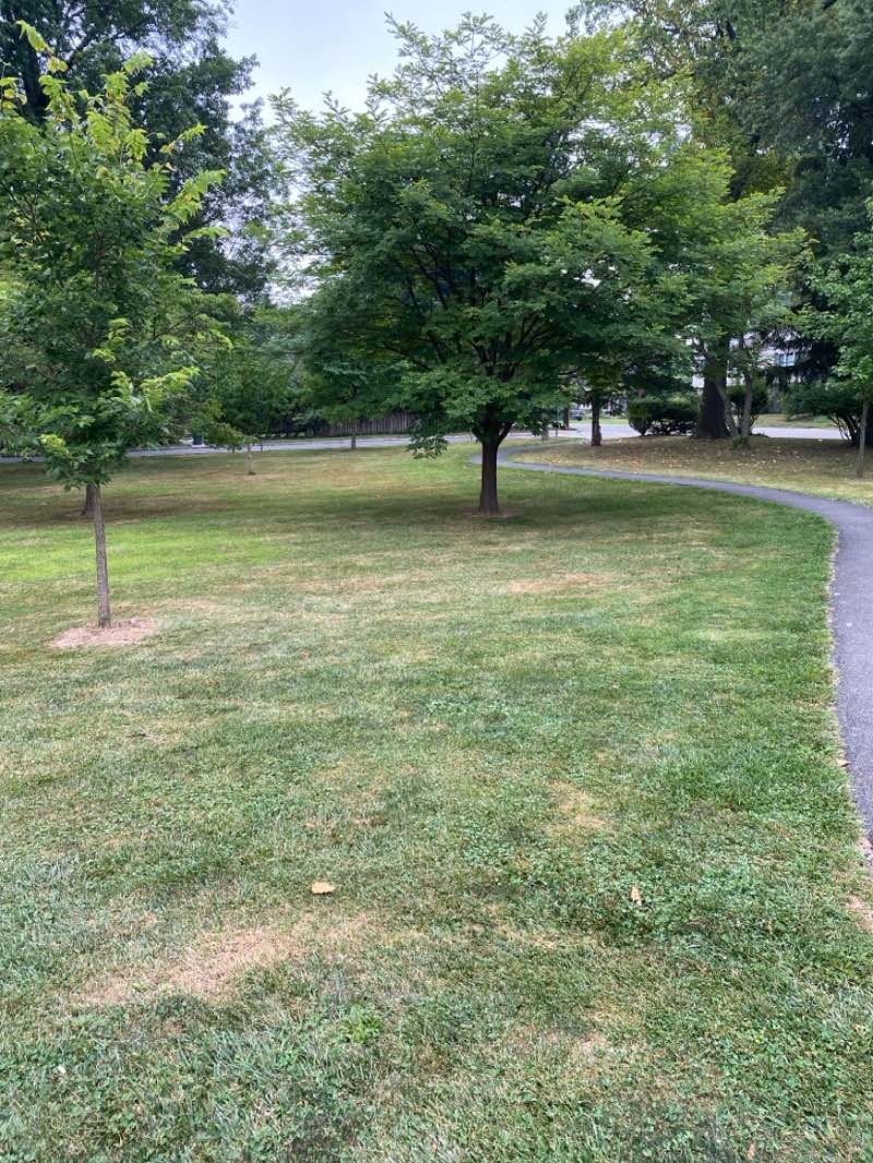 walking near me in Edgemont Memorial Park in autumn