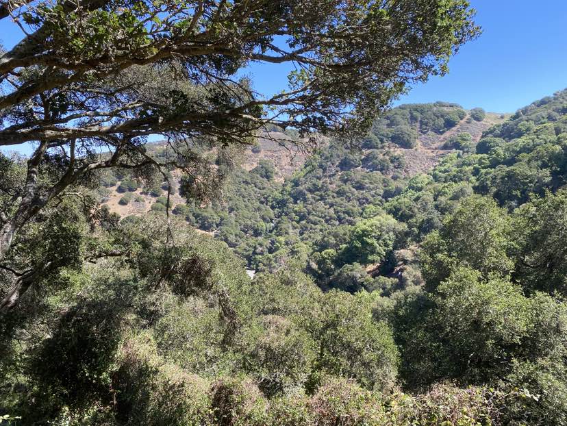 walking near me in Angel Island State Park in autumn
