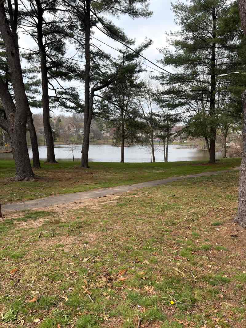 walking near me in Degnan Park in spring