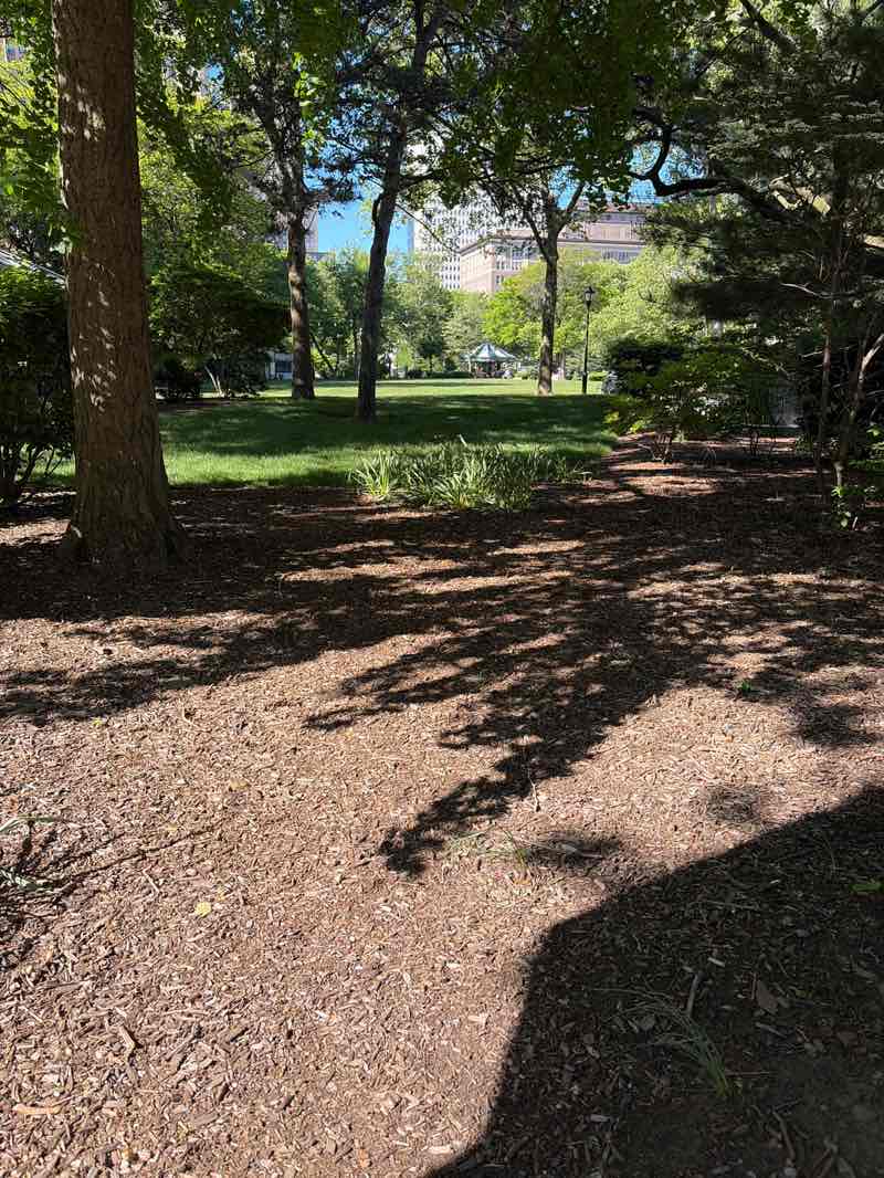 walking near me in Military Park in spring