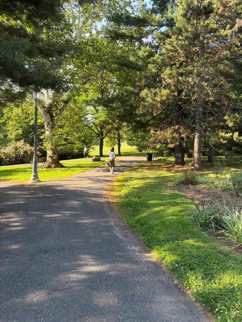 walking near me in Anderson Park in summer