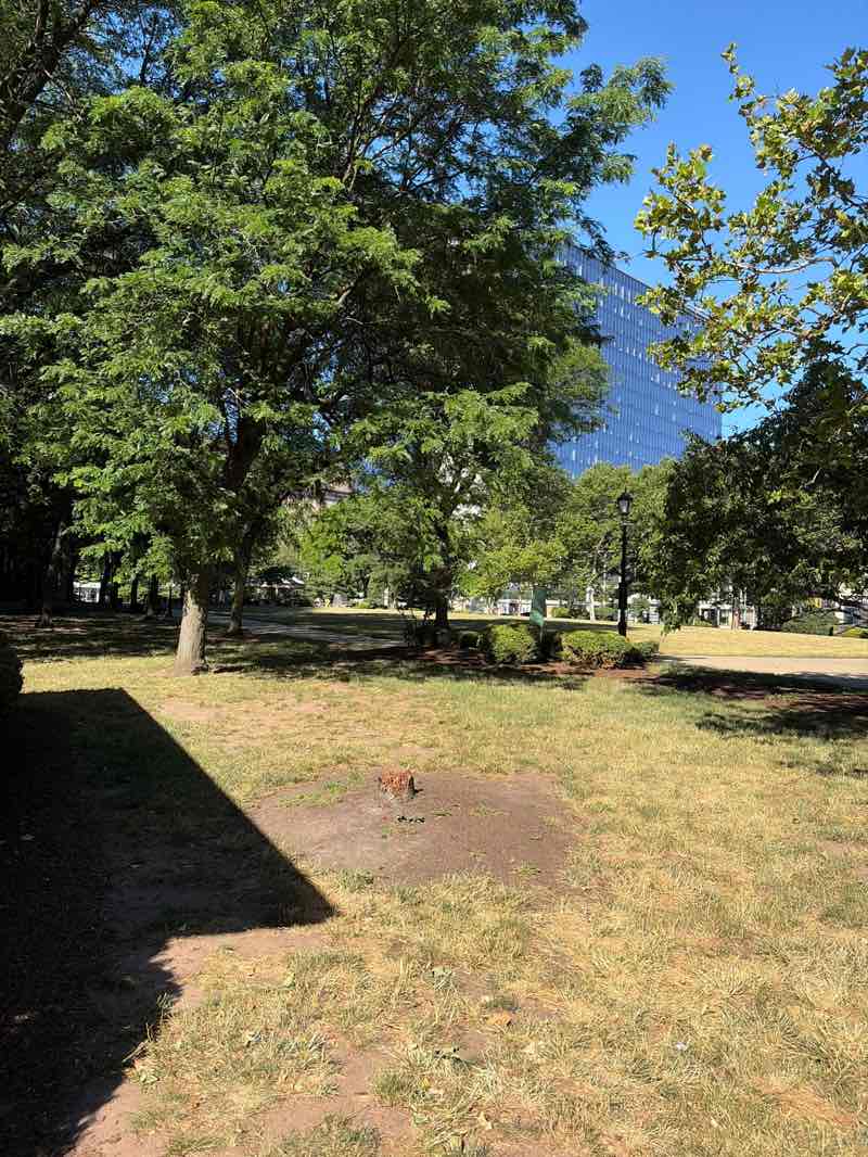 walking near me in Military Park in summer