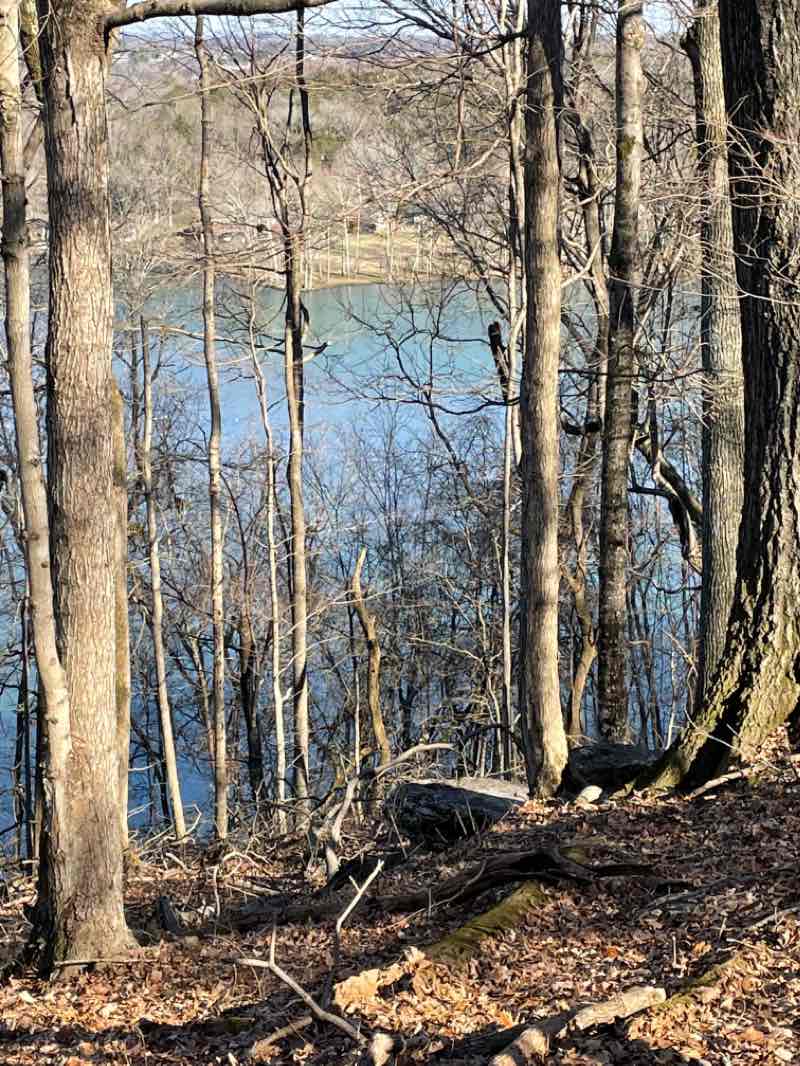 walking near me in Bledsoe Creek in winter