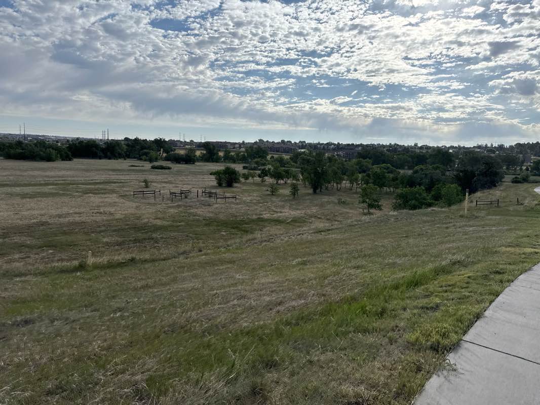walking near me in Salisbury Equestrian and Sports Park in summer