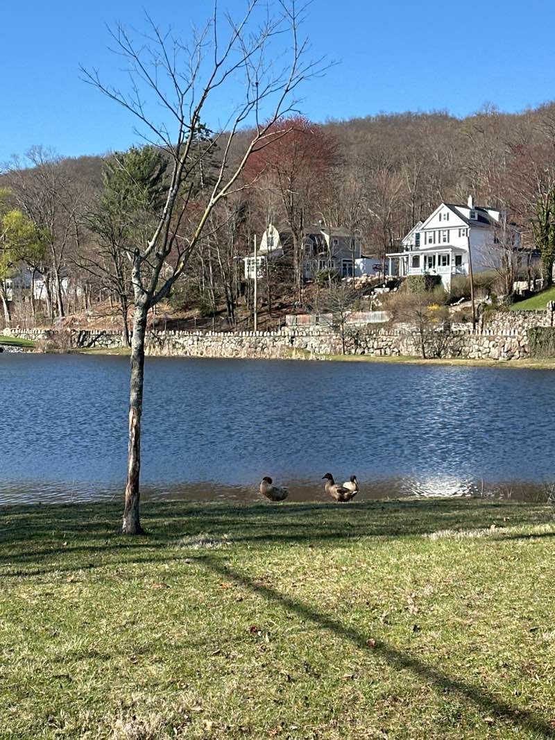 walking near me in Roe Park in spring