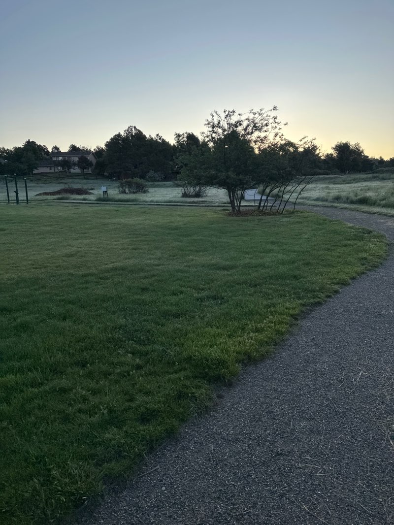 walking near me in Lake Shore Park in summer