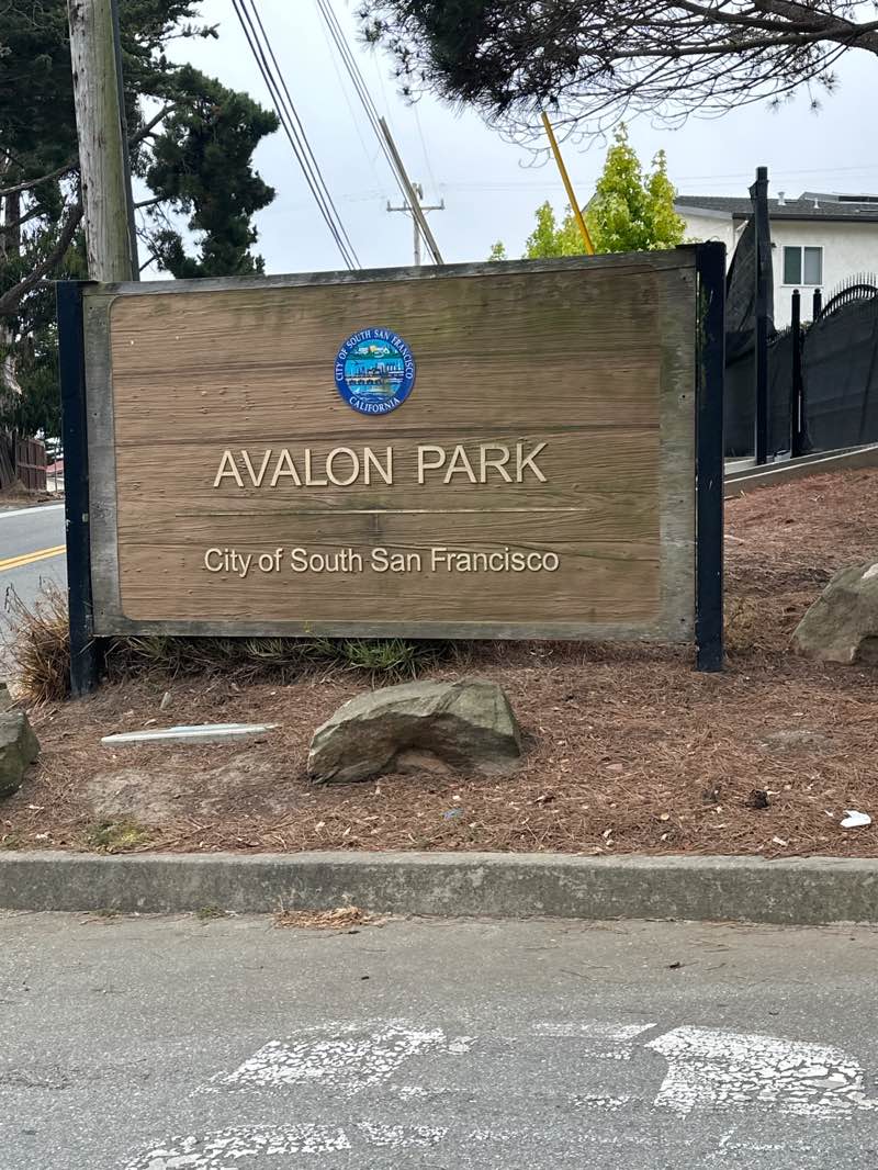 walking near me in Avalon Park in summer